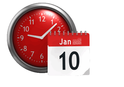 Calendar View